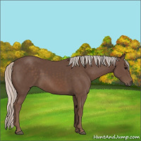 Horse Color:Silver Black 