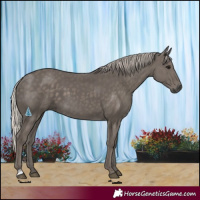 Horse Color:Silver Black 