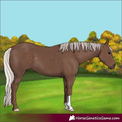 Horse Color:Silver Black 