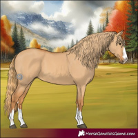 Horse Color:Red Dun 