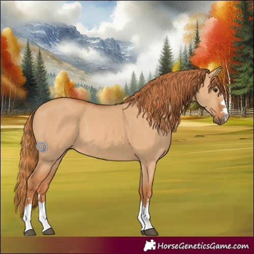 Horse Color:Red Dun