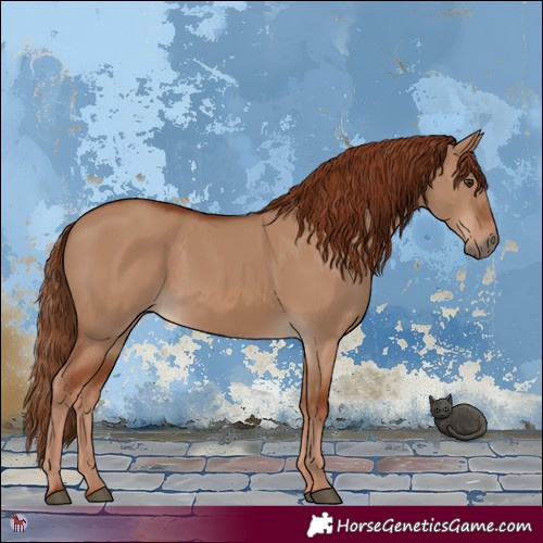 Horse Color:Red Dun 