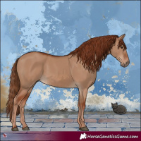 Horse Color:Red Dun 