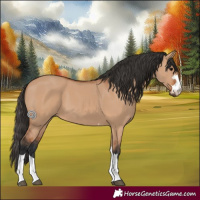 Horse Color:Bay Dun