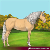 Horse Color:Silver Amber Cream Champagne 