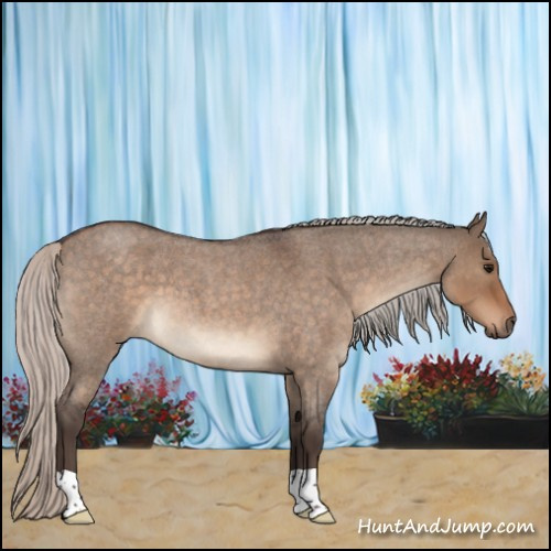 Horse Color:Silver Brown Roan Dun 