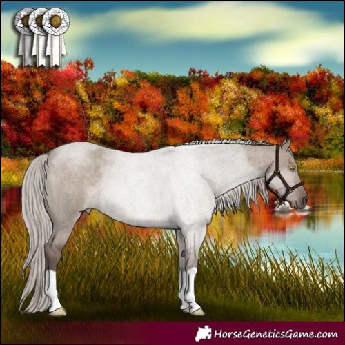 Horse Color:Silver Grullo Roan