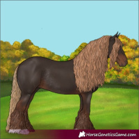 Horse Color:Liver Chestnut Rabicano