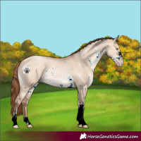 Horse Color:Brown Pearl Dun Sabino 