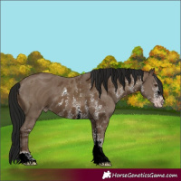 Horse Color:ERROR: UNKNOWN ANOMALY