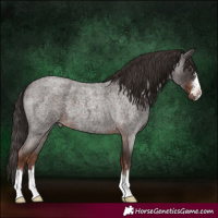 Horse Color:Liver Red Roan 