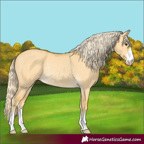 Horse Color:Palomino Dun Rabicano