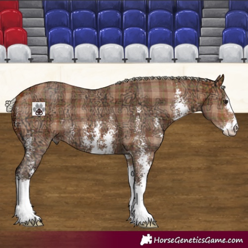 Horse Color:Plaid  Silver Bay Ice Sabino 