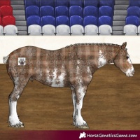 Horse Color:Plaid  Silver Bay Ice Sabino 