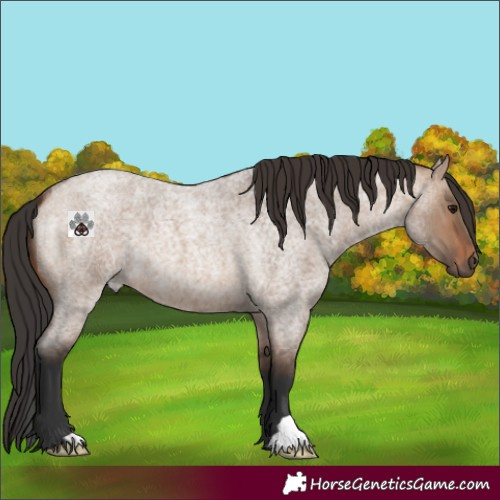Horse Color:Brown Roan Dun 