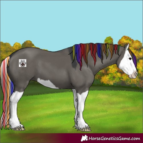 Horse Color:Painted Grullo Splash