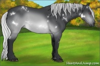 Horse Color:White Spotted Silver Brown Chinchilla 