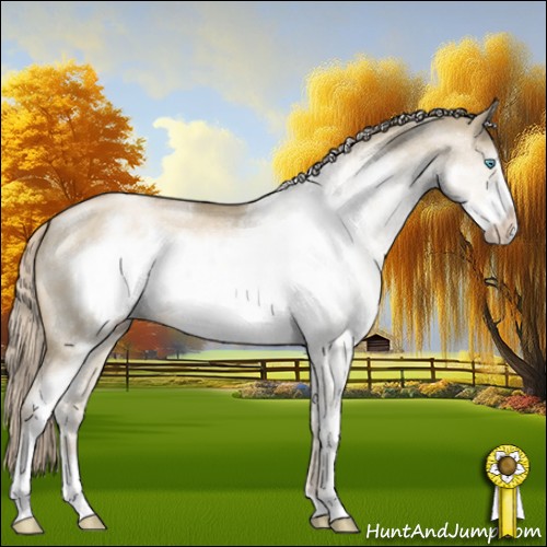 Horse Color:White Spotted Chocolate Palomino Pearl Dun Sabino Frame 