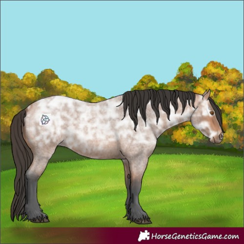 Horse Color:Bay Ice Roan Rabicano 