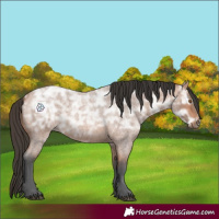 Horse Color:Bay Ice Roan Rabicano 