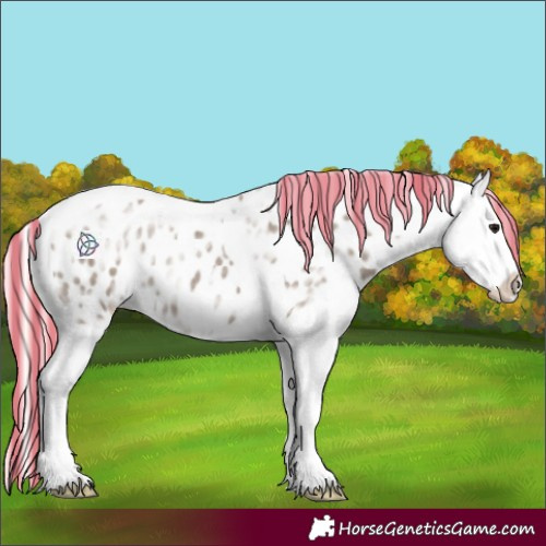 Horse Color:Painted Silver Grullo Ice Tobiano Appaloosa Rabicano 