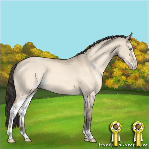 Horse Color:Amber Champagne Dun Sabino