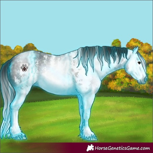 Horse Color:Gray Thunderstruck Smoky Black Sabino Splash 