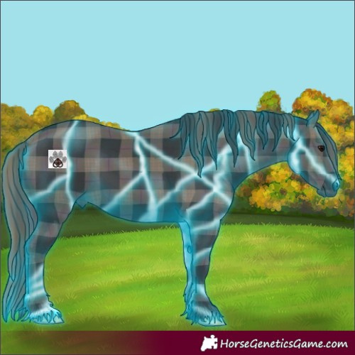 Horse Color:Thunderstruck Plaid  Black 
