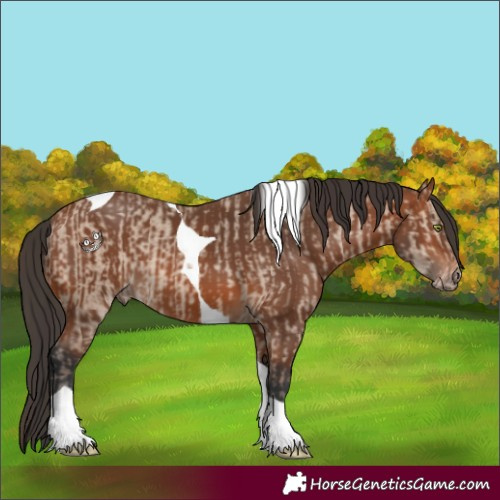 Horse Color:Sable Champagne Dun Tobiano  and Bay Tobiano 