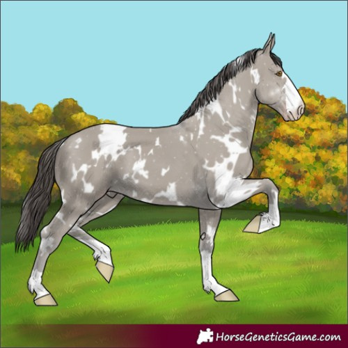 Horse Color:White Spotted Classic Cream Champagne