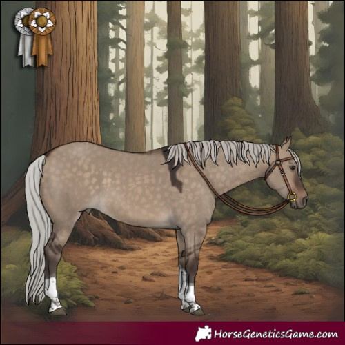 Horse Color:Silver Brown Dun Tobiano Rabicano 