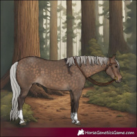 Horse Color:Silver Brown Dun Tobiano Rabicano 