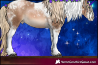Horse Color:Liver Chestnut Pearl Sabino Tobiano Rabicano