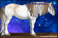 Horse Color:White Spotted Buckskin Pearl Rabicano