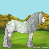 Horse Color:White Spotted Silver Buckskin Chinchilla Ice Onyx Sabino