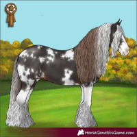 Horse Color:White Spotted Liver Chestnut Splash 