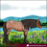 Horse Color:Bay Roan Varnish 