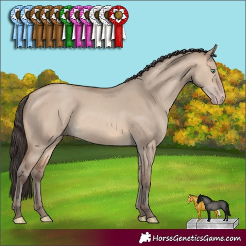 Horse Color:Sable Champagne Dun 