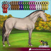 Horse Color:Sable Champagne Dun 