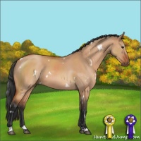 Horse Color:White Spotted Bay Dun Sabino 