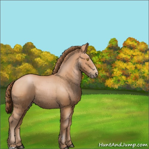 Horse Color:Bay Pearl 