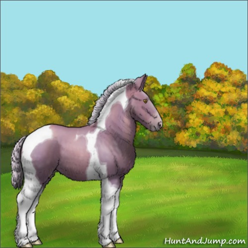 Horse Color:Silver Brown Pearl Tobiano 