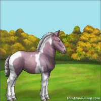Horse Color:Silver Brown Pearl Tobiano 