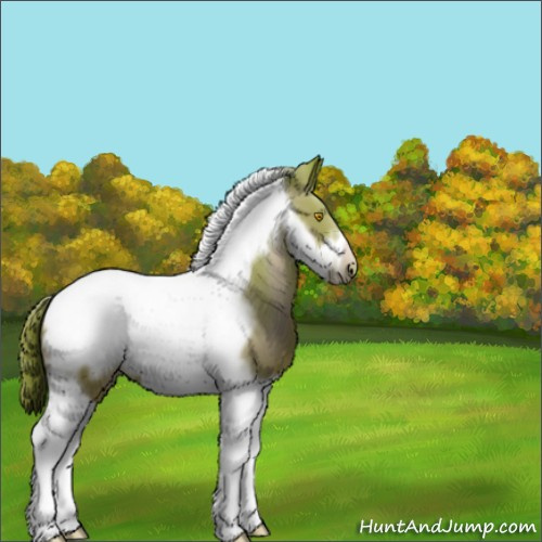 Horse Color:Bay Pearl Tobiano Frame