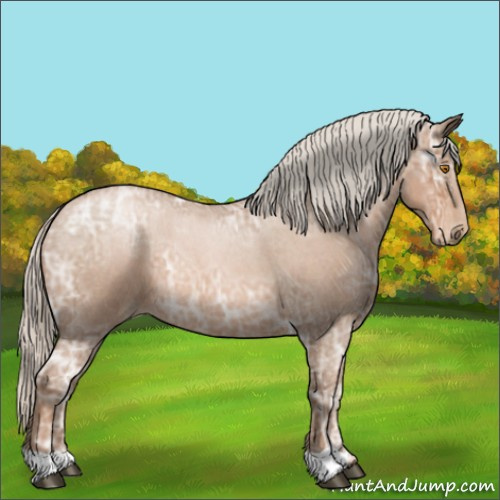 Horse Color:Silver Blue Ice Roan Pearl