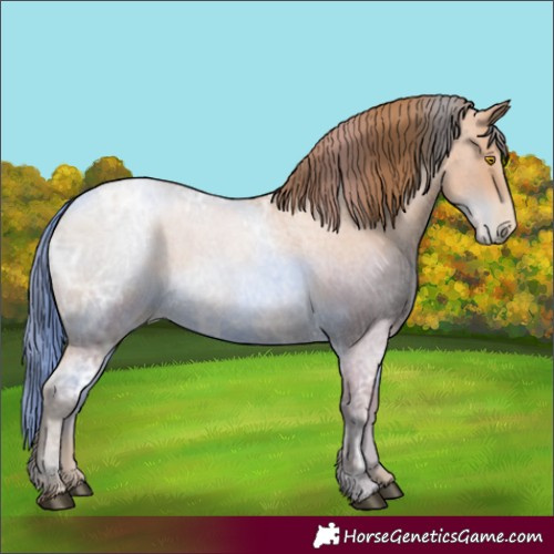 Horse Color:Brown Ice Roan Pearl 