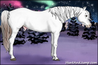 Horse Color:Bay Leopard 