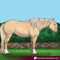 Horse Color:Palomino Dun