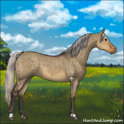 Horse Color:Silver Smoky Grullo Sabino Rabicano 