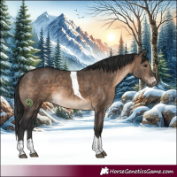 Horse Color:Brown Dun Sabino Tobiano Brindle 